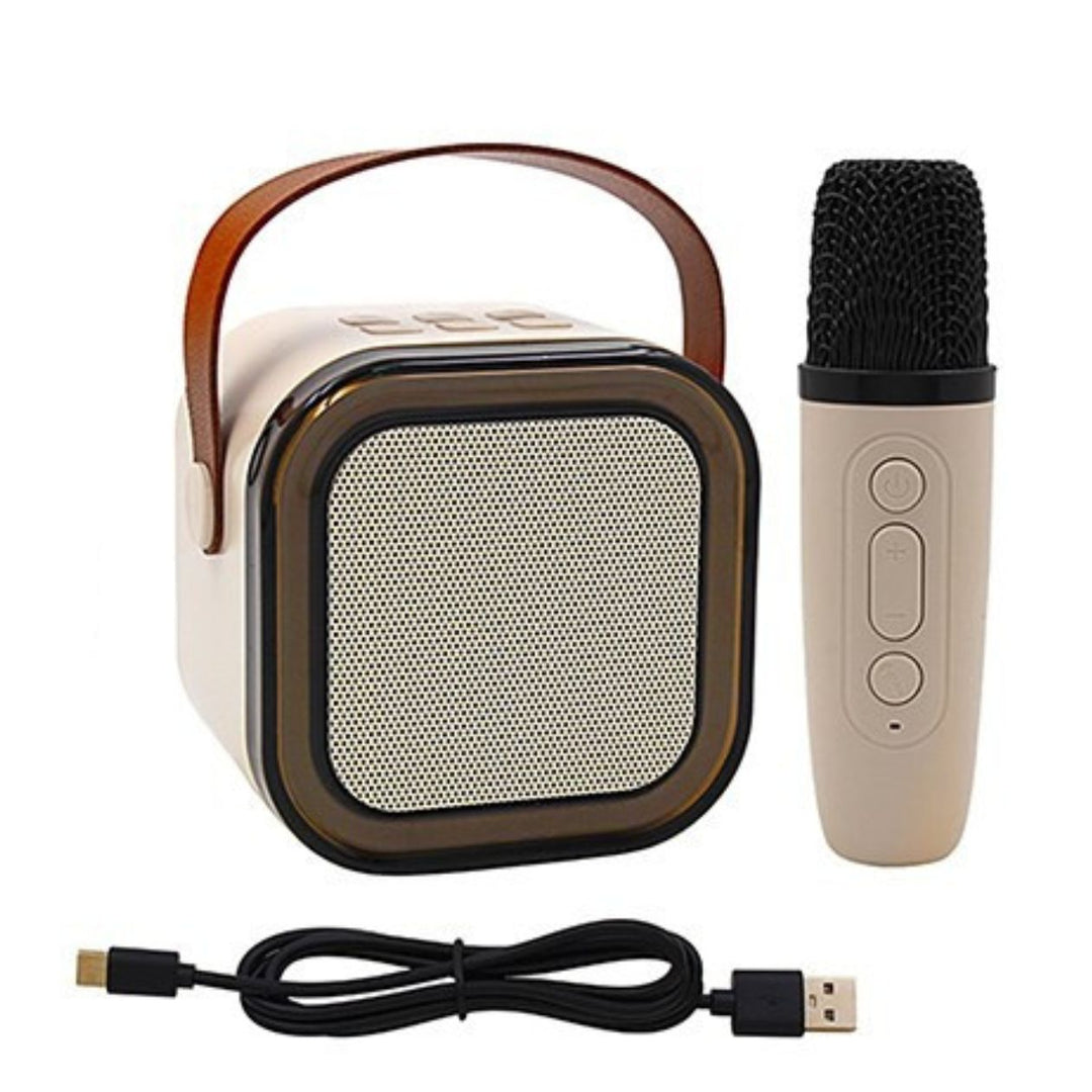 USB Mini Karaoke Machine Two Microphones - Sugarplum Boutique