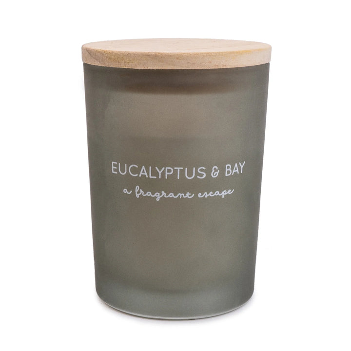 Eucalyptus & Bay Glass Candle - Sugarplum Boutique